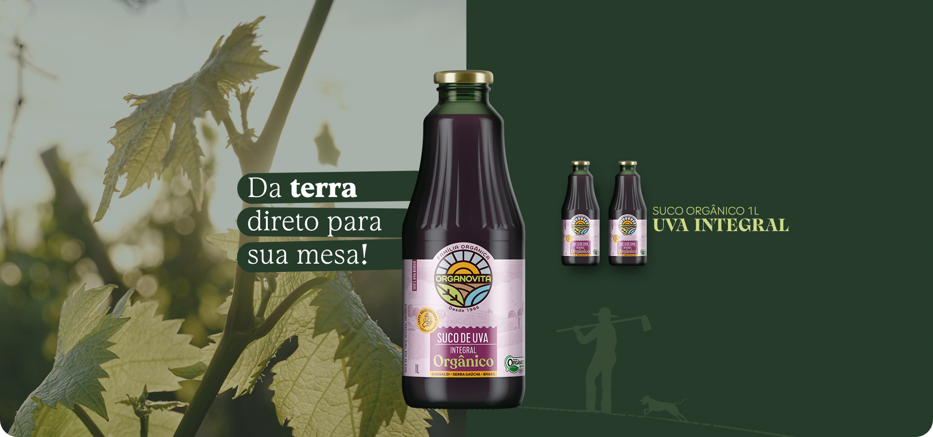 Organovita